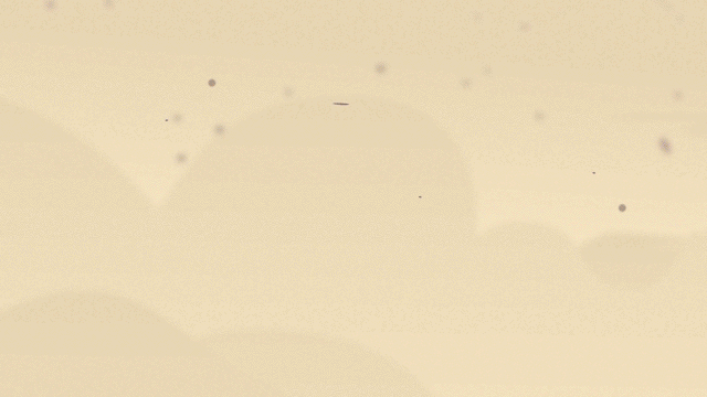 Unaufhaltsam rollt unser Dozer "Boneshaker" durch die Wüste.