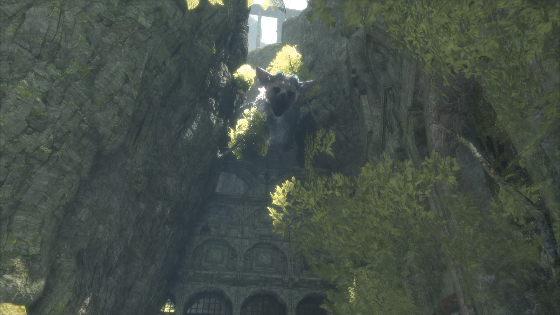 The Last Guardian