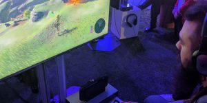 The Legend of Zelda: Breath of the Wild Nintendo Switch